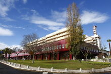 Garcia de Orta, Constitucional, negligência médica, saúde, 