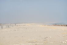 05-01-2017_09_37_58 M2-13206987.JPG