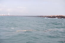 05-01-2017_09_38_00 M2-13206989.JPG