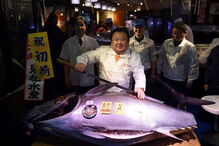  O atum, com 212 quilos, pescado no no norte do Japão, tem um preço equivalente a cerca de 350 mil ienes (2.857 euros) por quilo