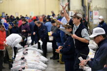  O atum, com 212 quilos, pescado no no norte do Japão, tem um preço equivalente a cerca de 350 mil ienes (2.857 euros) por quilo