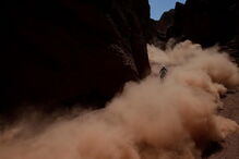 carlos sainz, peugeot, dakar