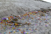 06-01-2017_23_43_46 ovo 1.jpg