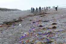 06-01-2017_23_43_49 ovo 4.jpg