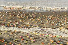 06-01-2017_23_43_51 ovos 7.jpg