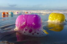 06-01-2017_23_43_52 ovos 9.jpg