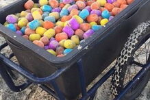 06-01-2017_23_43_53 ovos 10.jpg