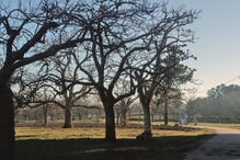 Penedono, Beira Alta, viagens, férias, destinos