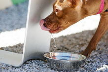 16-01-2017_16_50_12 542417624.jpg