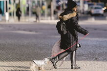 autoridades, alerta, frio polar, tempo, temperatura, aquecimento, sintomas, gripe