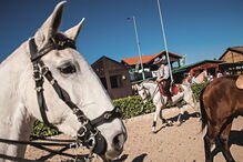 Peniche, Albufeira, Serra da Estrela, Estrela, Golegã, Vendas Novas, Paços de Ferreira, Feira do Cavalo
