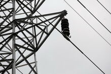 EDP, corte, energia, trabalhos, Coimbra, Figueira da Foz, Santo Tirso, Trofa, Azambuja, Cartaxo