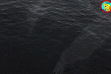 Força aérea deteta mancha de poluição no mar