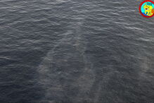 Força aérea deteta mancha de poluição no mar