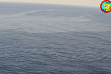 Força aérea deteta mancha de poluição no mar