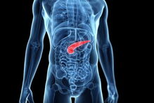 Instituto Salk para os Estudos Biológicos, células humanas, embriões de porcos, criação, órgãos humanos, ciência e tecnologia, saúde