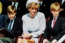 princesa diana, harry, william