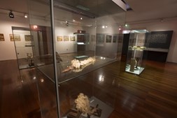 Museu de História e Etnologia da Terra da Maia possui várias exposições