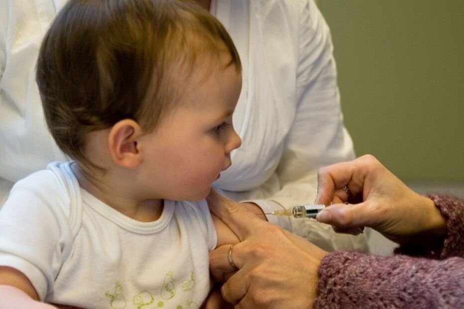 Programa Nacional de Vacinação, novas vacinas, tosse convulsa, grávidas, BCG, grupos de risco, saúde