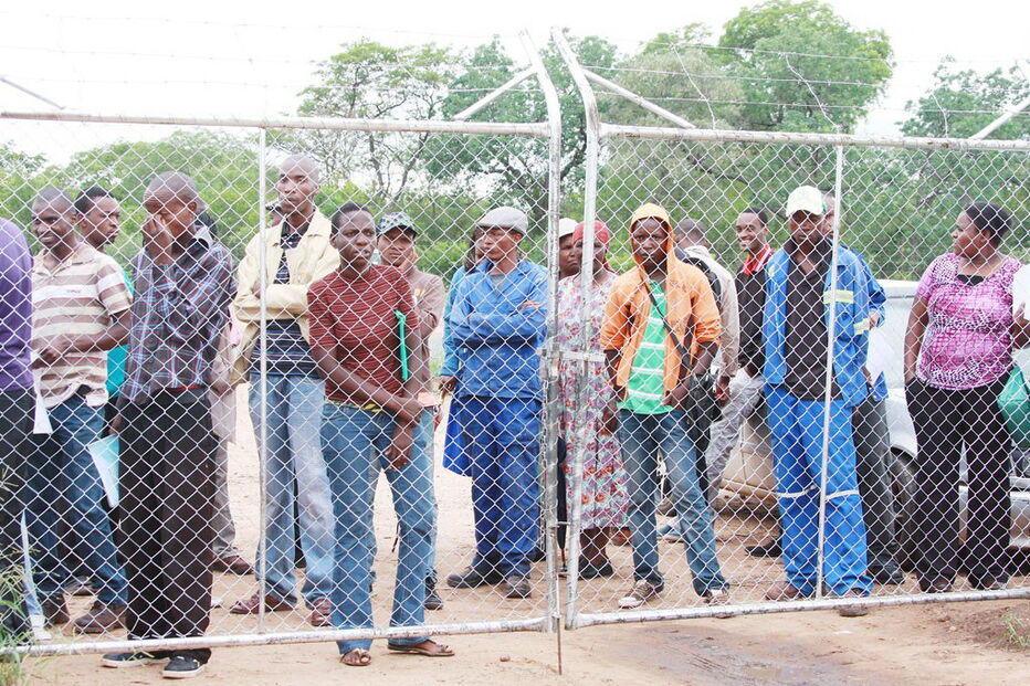 ugandeses, greve, assédio sexual, chineses, empresa