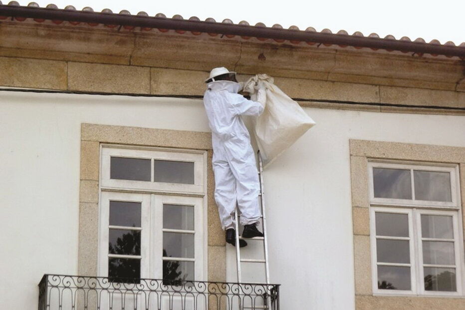 04-01-2017_01_59_41 Imagem braga21a.jpg