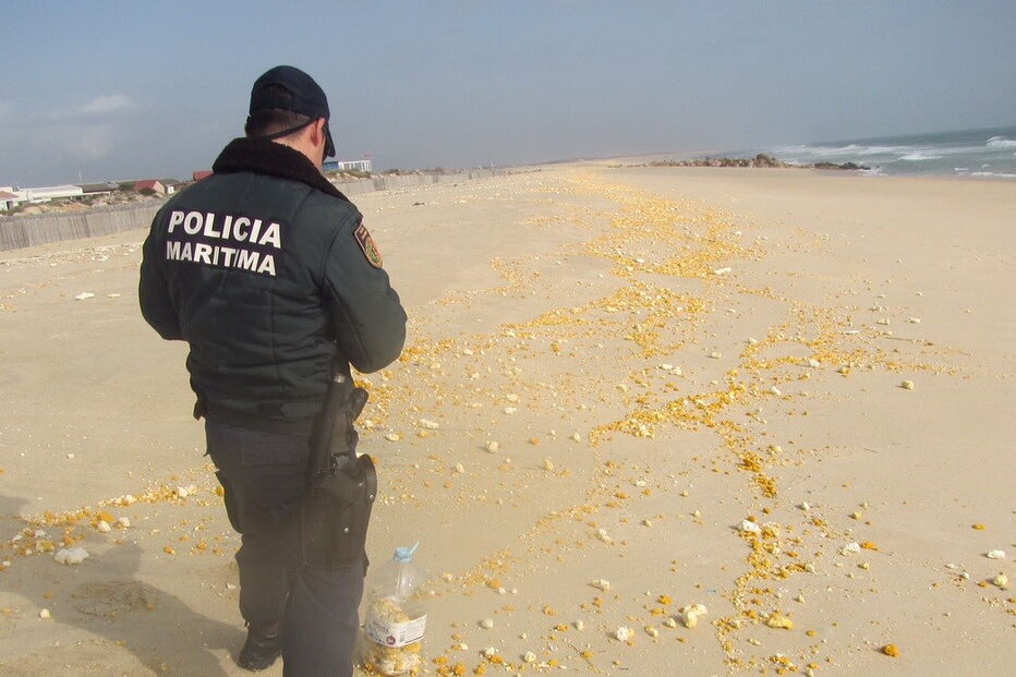 05-01-2017_01_40_33 13207012.jpg