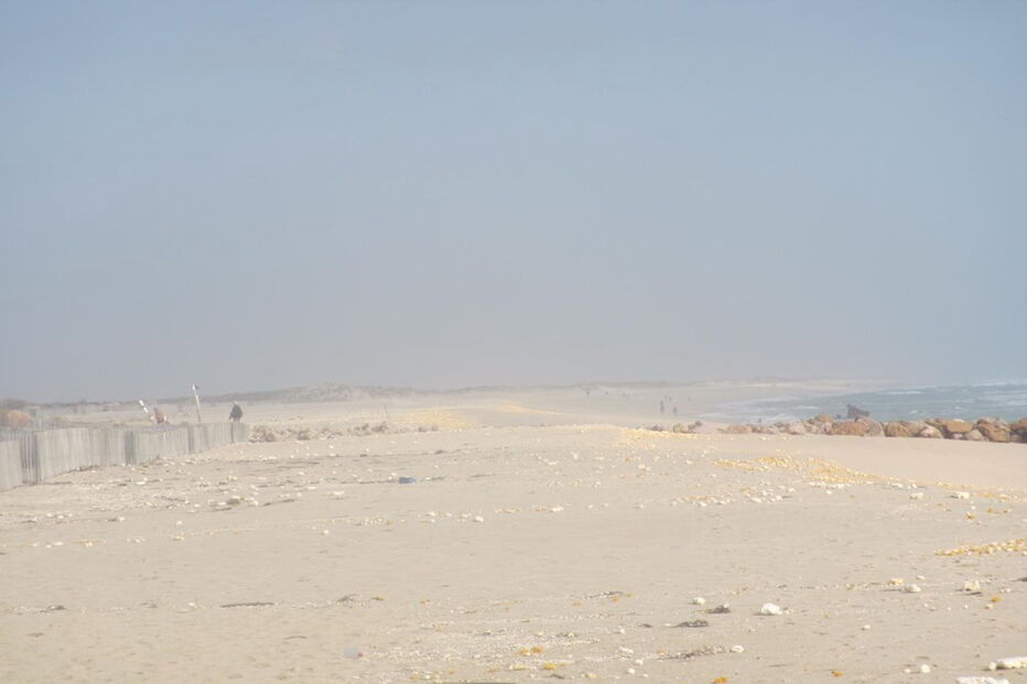 05-01-2017_09_37_58 M2-13206987.JPG