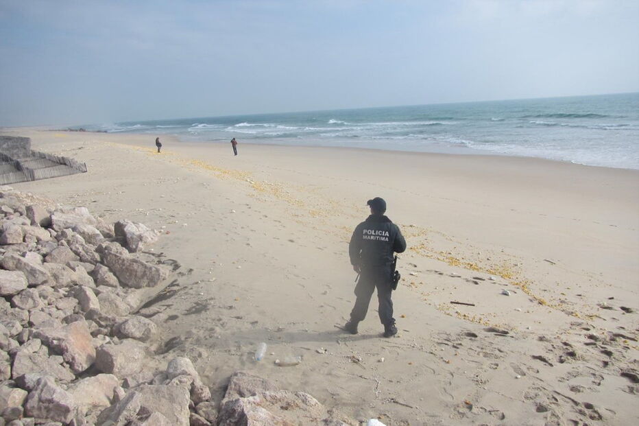 05-01-2017_09_37_59 M2-13206988.JPG