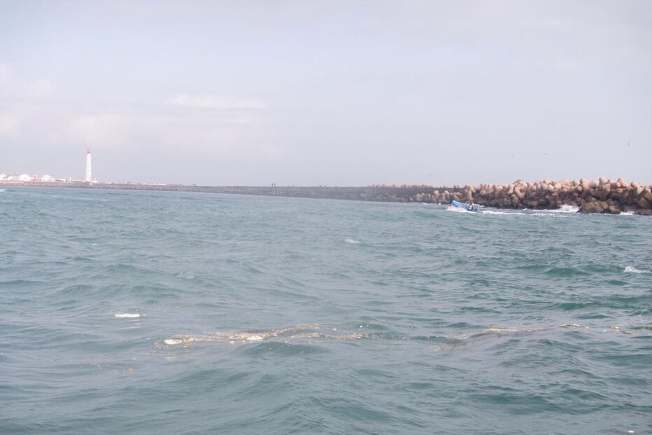 05-01-2017_09_38_00 M2-13206989.JPG