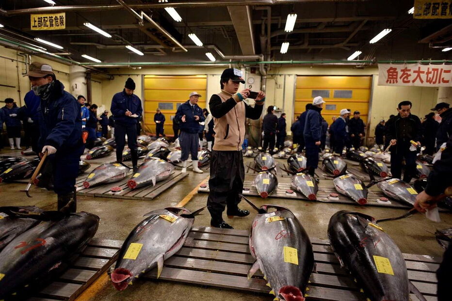  O atum, com 212 quilos, pescado no no norte do Japão, tem um preço equivalente a cerca de 350 mil ienes (2.857 euros) por quilo