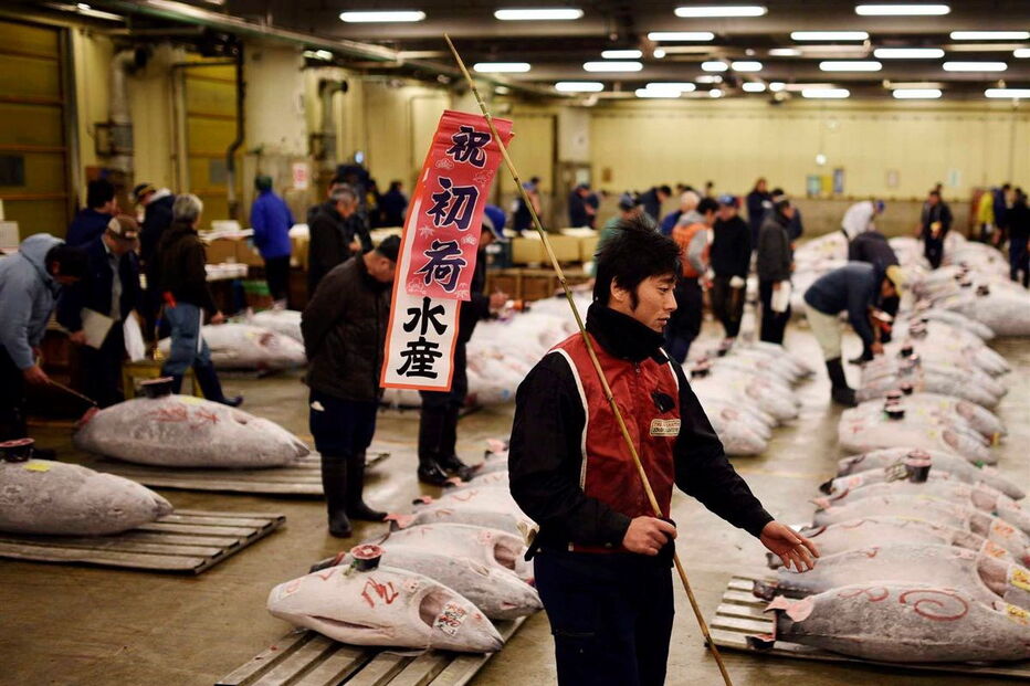  O atum, com 212 quilos, pescado no no norte do Japão, tem um preço equivalente a cerca de 350 mil ienes (2.857 euros) por quilo