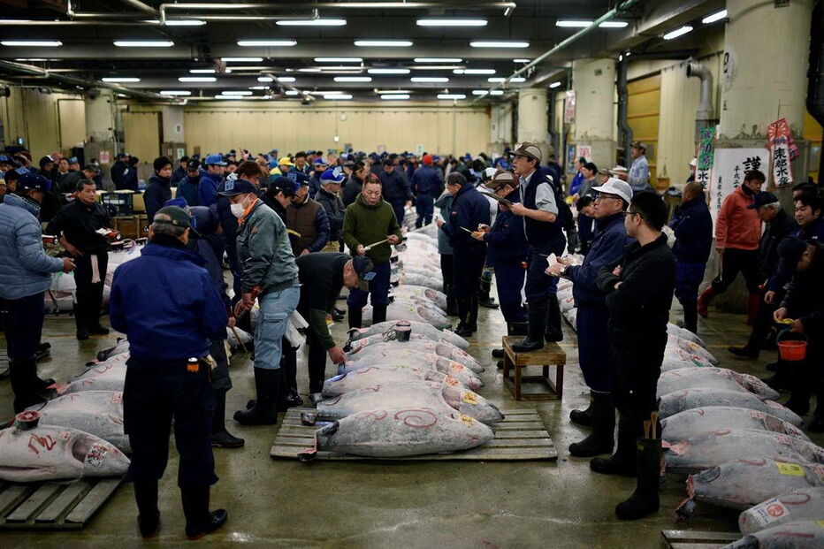  O atum, com 212 quilos, pescado no no norte do Japão, tem um preço equivalente a cerca de 350 mil ienes (2.857 euros) por quilo