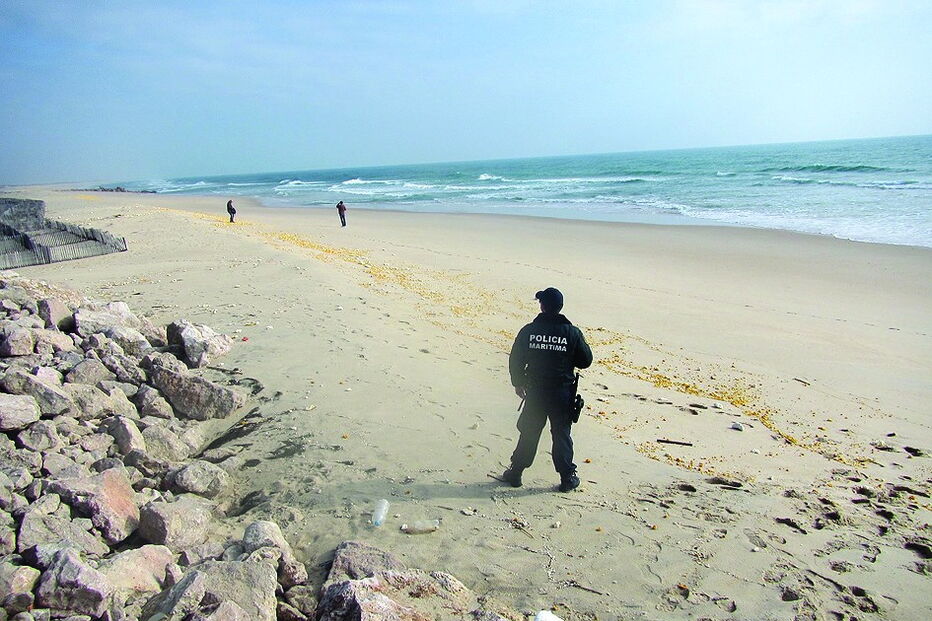 06-01-2017_02_53_24 11 alg.jpg