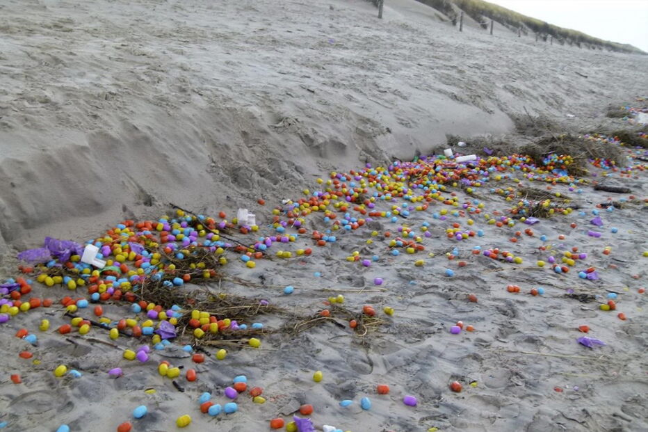 06-01-2017_23_43_46 ovo 1.jpg