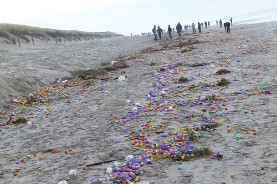 06-01-2017_23_43_47 ovo 2.jpg