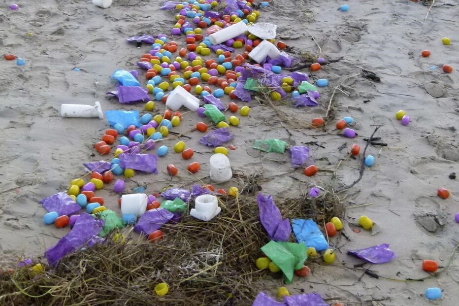 06-01-2017_23_43_48 ovo 3.jpg