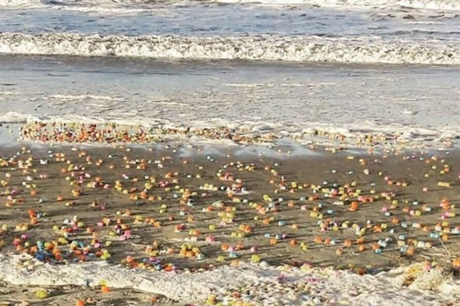 06-01-2017_23_43_51 ovos 7.jpg