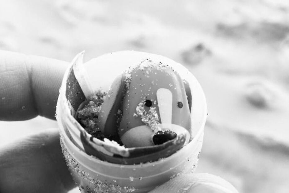 06-01-2017_23_43_52 ovos 8.jpg