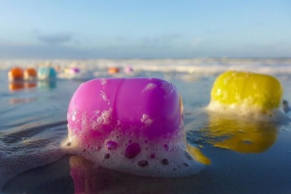 06-01-2017_23_43_52 ovos 9.jpg