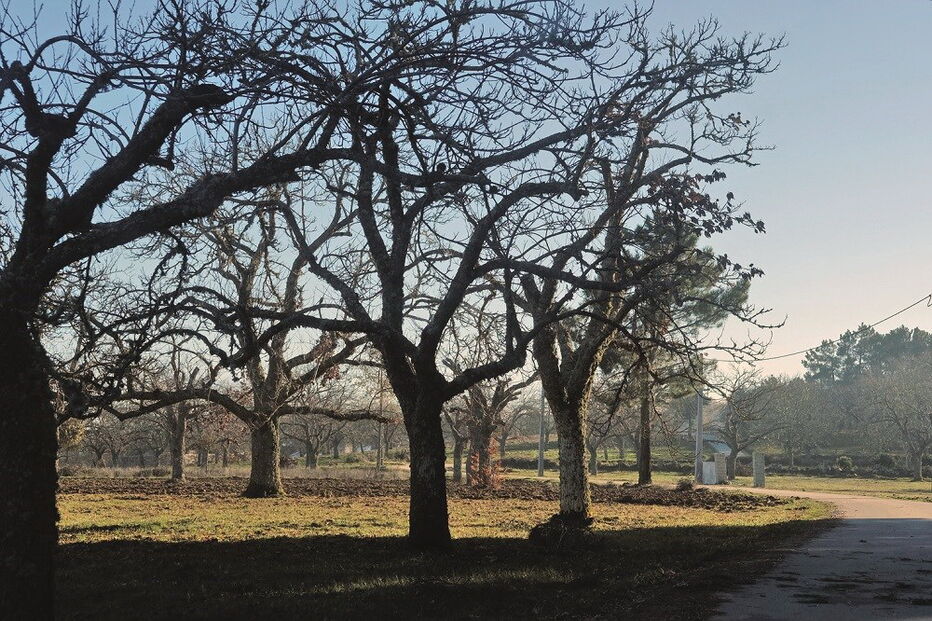 Penedono, Beira Alta, viagens, férias, destinos
