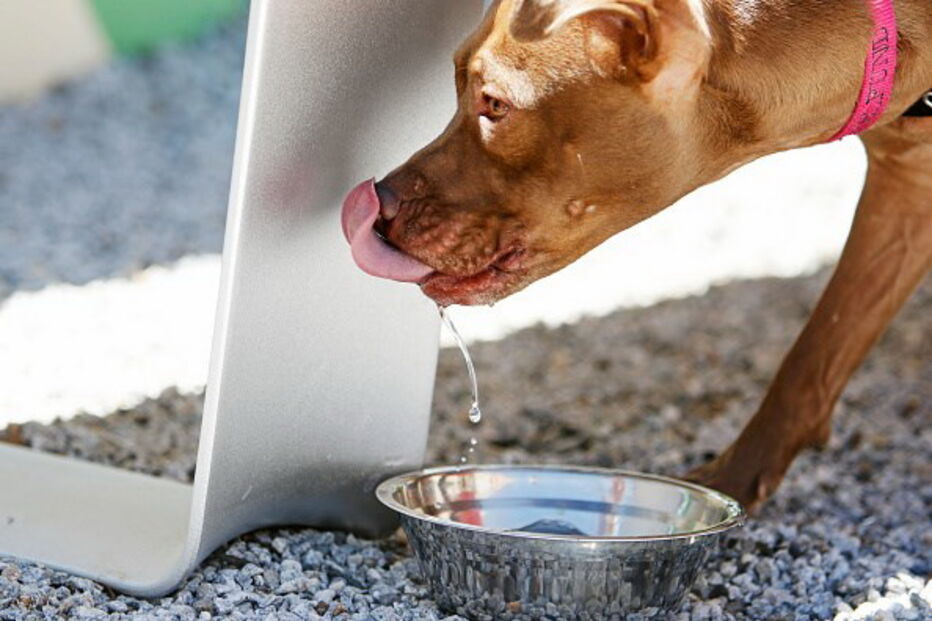 16-01-2017_16_50_12 542417624.jpg