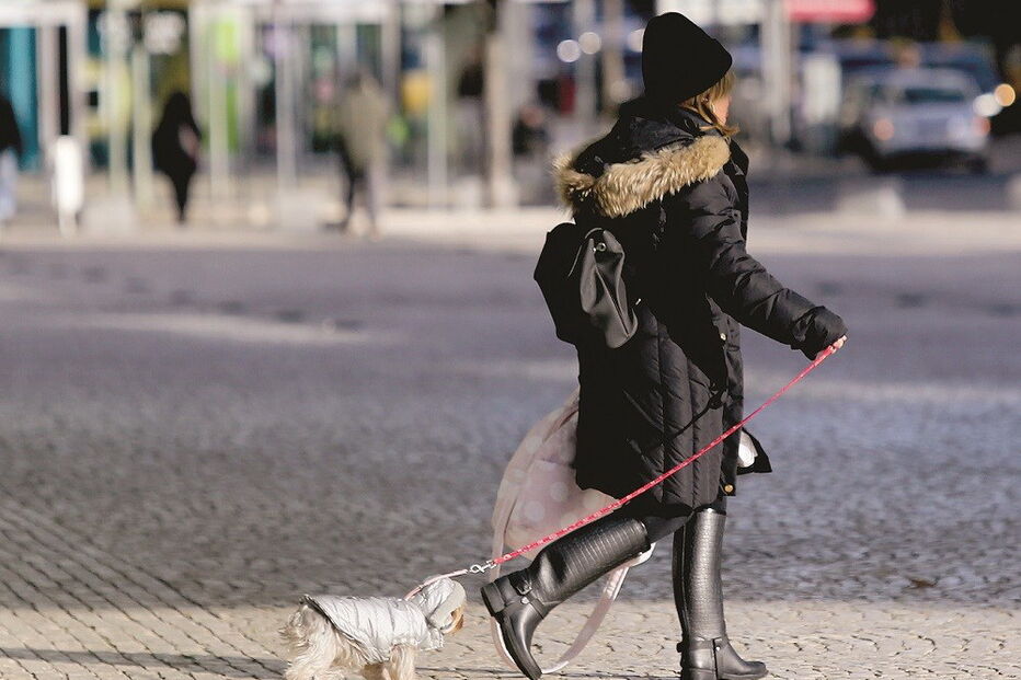 autoridades, alerta, frio polar, tempo, temperatura, aquecimento, sintomas, gripe