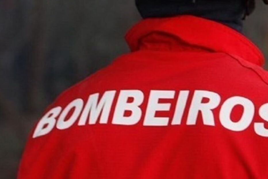 Rego da Amoreira, acidente de trabalho, Rego da Amoreira, Alcochete, apanha, cenoura, Comando Distrital de Operações de Socorro, acidentes e desastres