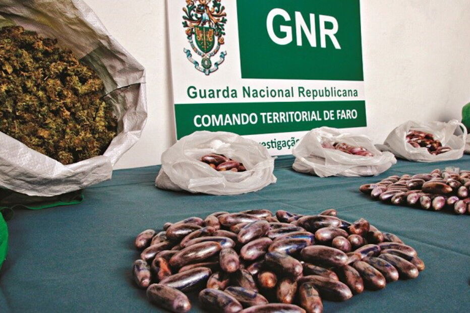 19-01-2017_05_09_08 Imagem alg13a.jpg