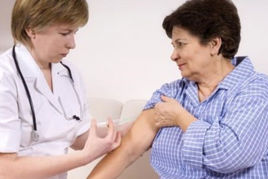 Portugal, Boletim de Vigilância Epidemiológica da Gripe, Instituto Nacional de Saúde Doutor Ricardo Jorge, demografia, emigrantes, saúde