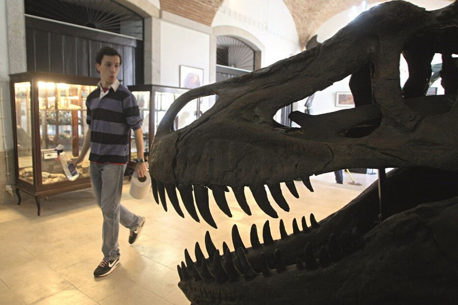 Peniche, Albufeira, Serra da Estrela, Estrela, Golegã, Vendas Novas, Paços de Ferreira, Feira do Cavalo