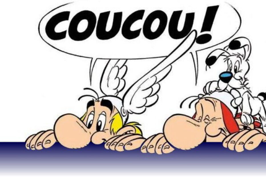 20-01-2017_13_55_54 asterix.jpg