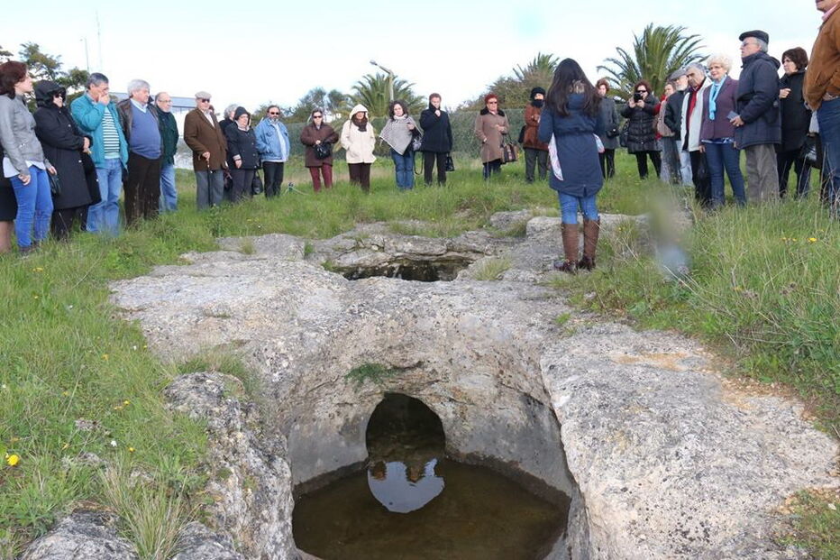 20-01-2017_16_10_41 necropole.jpg