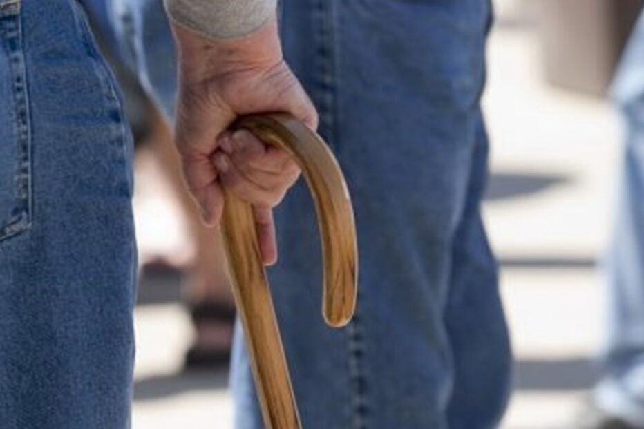 Instituto da Segurança Social, Complemento Solidário para Idosos, Gabinete de Estratégia e Planeamento, salários e pensões, economia, negócios e finanças