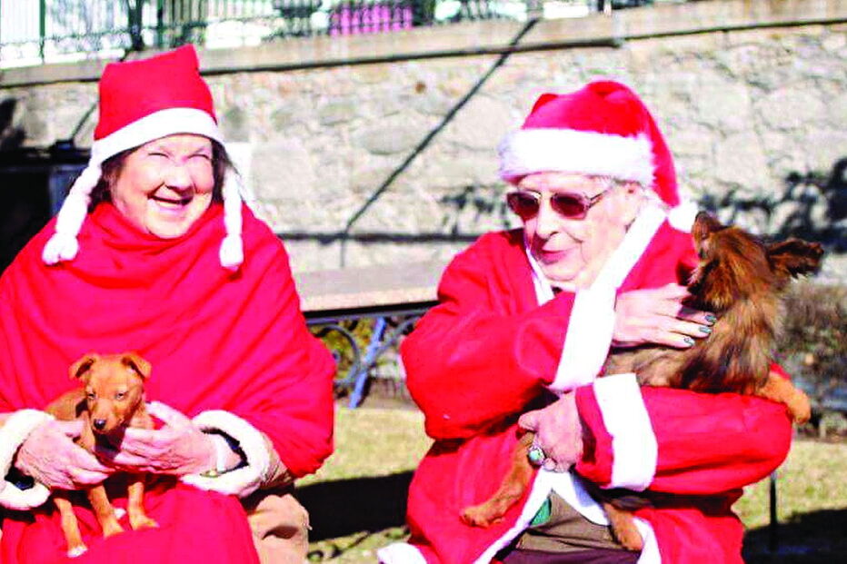 idosos, calendário, animais